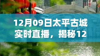 揭秘太平古城直播日，巷弄深處的獨(dú)特小店與探秘之旅