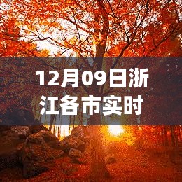 浙江各市實時天氣播報，十二月初的奇跡，天氣與美景的浪漫碰撞之旅，探尋內(nèi)心寧靜之旅