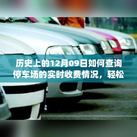 如何查詢停車場(chǎng)實(shí)時(shí)收費(fèi)情況？詳細(xì)步驟指南（歷史上的12月09日版）