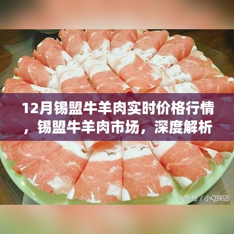 錫盟牛羊肉市場深度解析，十二月實時價格行情報告