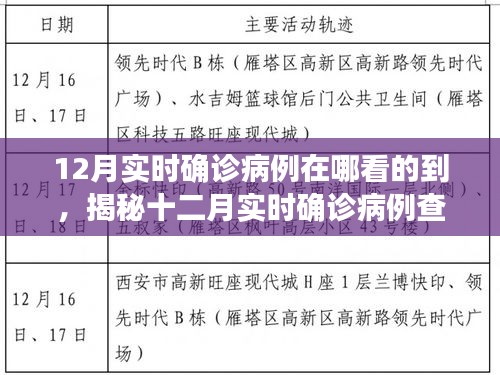 揭秘十二月實(shí)時(shí)確診病例查詢途徑，輕松掌握疫情動(dòng)態(tài)科普知識(shí)