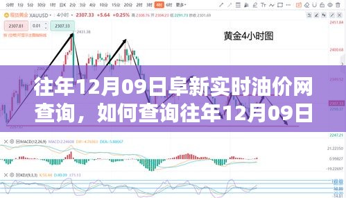 往年12月09日阜新實時油價網(wǎng)查詢攻略，初學(xué)者與進階用戶指南