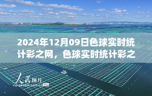 色球?qū)崟r統(tǒng)計彩之網(wǎng)，博弈背后的公眾觀點探析與博彩博弈的探討
