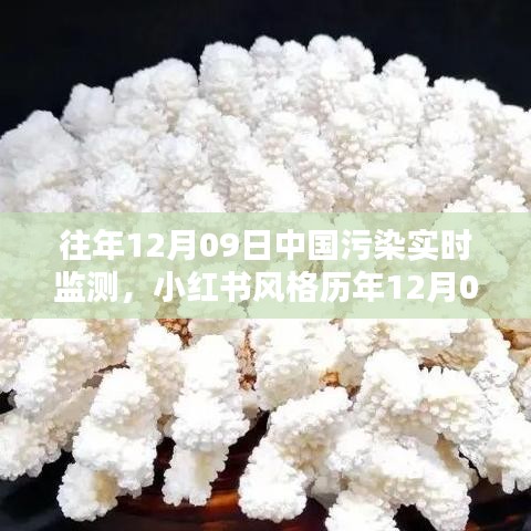 歷年12月09日中國污染實(shí)時(shí)監(jiān)測(cè)，小紅書風(fēng)格下的藍(lán)天綠水守護(hù)共同責(zé)任