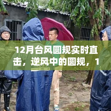 臺(tái)風(fēng)圓規(guī)下的逆風(fēng)力量，勵(lì)志故事與成就感的魔法時(shí)刻