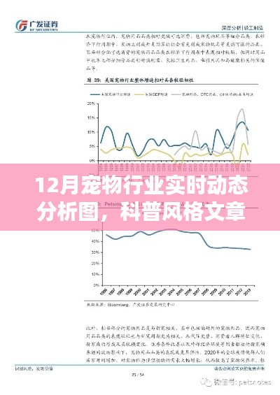 揭秘寵物行業(yè)趨勢，12月寵物行業(yè)實時動態(tài)科普分析圖