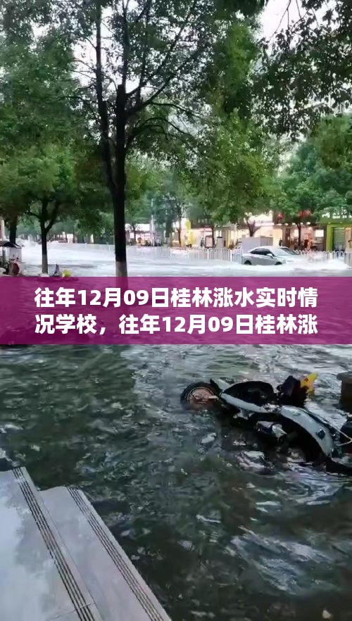 往年12月09日桂林漲水實(shí)時(shí)情況及學(xué)校應(yīng)對(duì)指南，保障學(xué)生安全無憂
