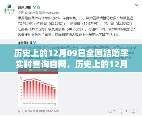 歷史上的12月09日全國結(jié)婚率實(shí)時(shí)查詢官網(wǎng)，探尋數(shù)據(jù)背后的故事