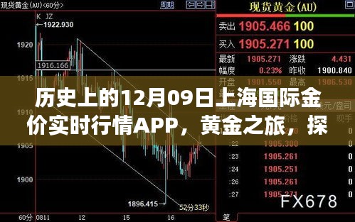 上海國(guó)際金價(jià)實(shí)時(shí)行情APP的黃金之旅，歷史探索與自然美景的融合體驗(yàn)。