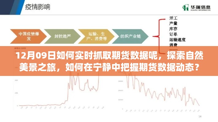 探索自然美景之旅與實(shí)時(shí)抓取期貨數(shù)據(jù)，寧?kù)o中的動(dòng)態(tài)把握策略