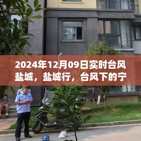 臺風(fēng)下的鹽城探尋之旅，自然之美與內(nèi)心寧靜的交融之路（實(shí)時(shí)更新）
