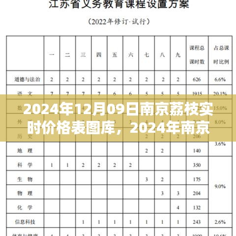 2024年南京荔枝實時價格表圖庫制作指南，從初學(xué)者到進階用戶全攻略