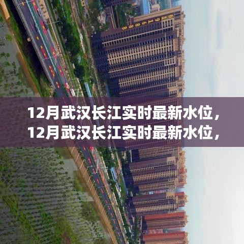 關(guān)注長江動態(tài)，武漢長江實時最新水位報告