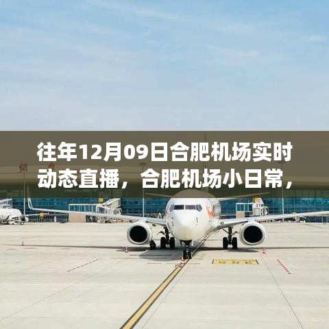 云端下的溫馨相遇，合肥機(jī)場(chǎng)12月9日實(shí)時(shí)動(dòng)態(tài)直播小日常