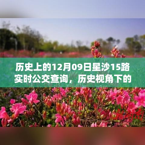 歷史視角下的星沙公交發(fā)展，星沙公交查詢系統(tǒng)深度探討與實時公交查詢服務(wù)解析（附，歷史上的星沙公交變遷）