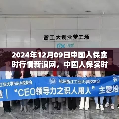 中國(guó)人保新浪網(wǎng)實(shí)時(shí)行情評(píng)測(cè)報(bào)告，產(chǎn)品特性與用戶體驗(yàn)深度解析