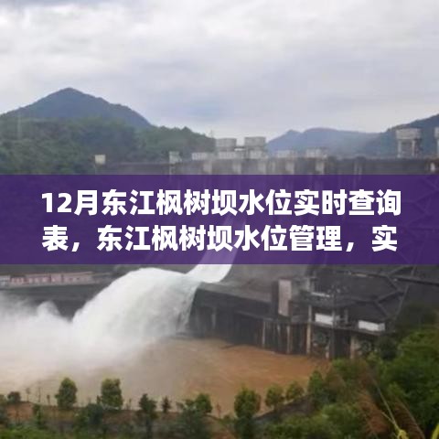 東江楓樹(shù)壩水位管理，實(shí)時(shí)查詢(xún)背后的權(quán)衡與觀點(diǎn)探討