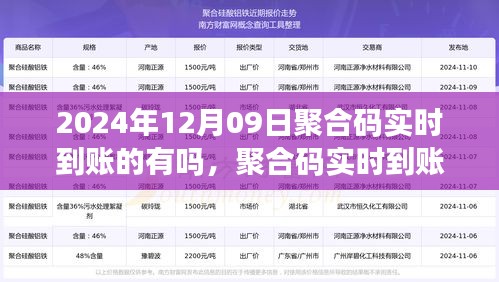 2024年聚合碼實時到賬可行性探討，以觀察日12月09日為切入點