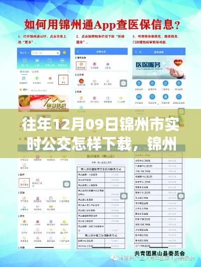 錦州市實時公交查詢APP下載指南，以往年12月09日為例的教程分享