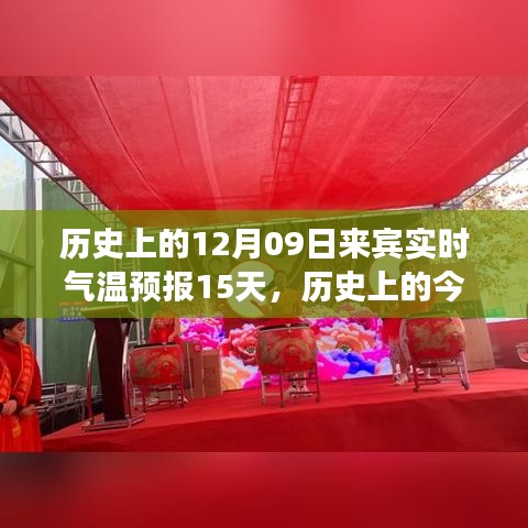 luyituifei 第3頁