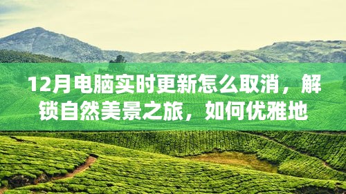 12月電腦更新取消指南與解鎖自然美景之旅，優(yōu)雅避開更新，尋找心靈寧靜綠洲