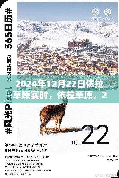 依拉草原時光印記，2024年12月22日實時記錄