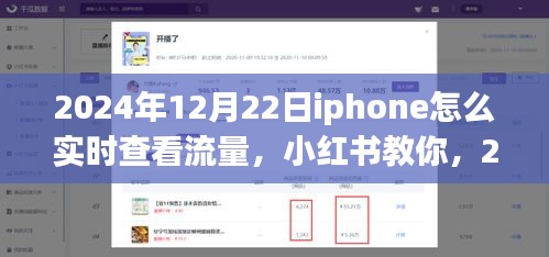 2024年12月22日iPhone實(shí)時(shí)查看流量教程，小紅書教你如何輕松監(jiān)控流量消耗