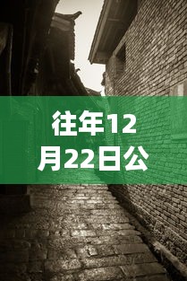 探秘寶藏店，公路云實(shí)時(shí)監(jiān)控軟件下載新體驗(yàn)，12月22日實(shí)時(shí)下載探秘小巷深處之旅