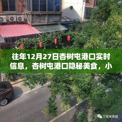 杏樹屯港口，美食秘境與實(shí)時(shí)信息的探索之旅