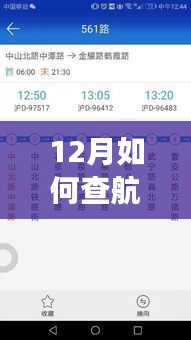 一站式指南，輕松查詢航班實時信息，掌握航班動態(tài)盡在十二月！