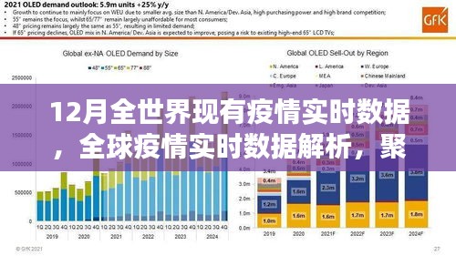 全球疫情實(shí)時(shí)數(shù)據(jù)解析，聚焦12月疫情動(dòng)態(tài)與動(dòng)態(tài)變化
