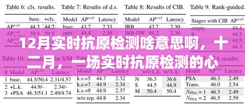 十二月實時抗原檢測，心靈凈化之旅的啟程
