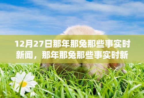 那年那兔時(shí)事新聞追蹤解讀指南，從初學(xué)者到進(jìn)階用戶的步驟指南