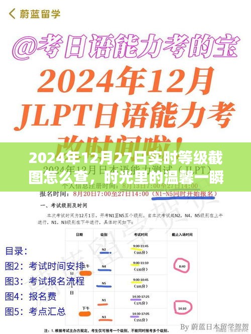 2024年12月27日等級截圖揭秘，時光溫馨一瞬，友誼見證時刻