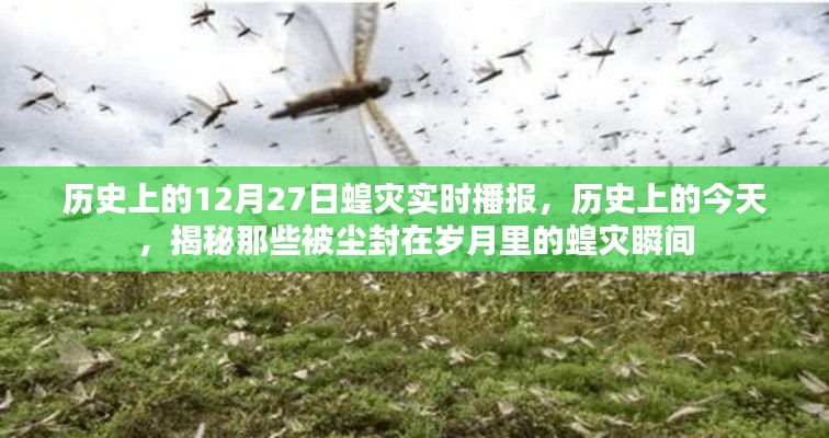 歷史上的蝗災(zāi)瞬間，揭秘塵封歲月中的12月27日蝗災(zāi)實時播報