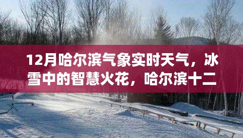 哈爾濱十二月冰雪智慧，氣象實時觀察與啟示錄