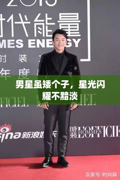 男星雖矮個(gè)子，星光閃耀不黯淡