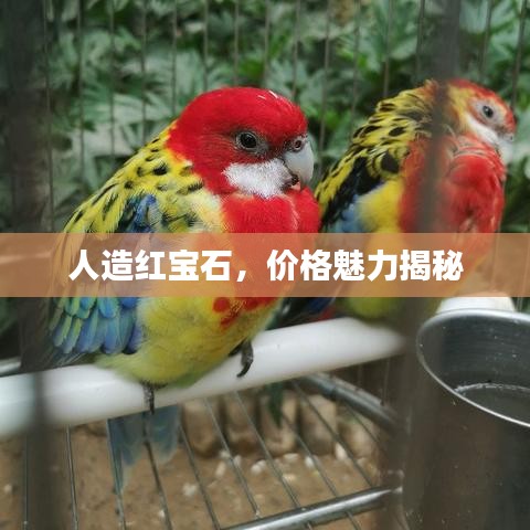 人造紅寶石，價(jià)格魅力揭秘