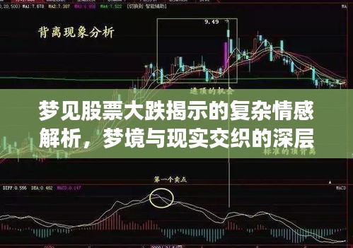 夢見股票大跌揭示的復(fù)雜情感解析，夢境與現(xiàn)實交織的深層解讀