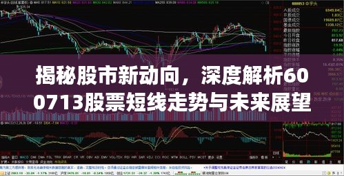 揭秘股市新動向，深度解析600713股票短線走勢與未來展望