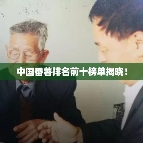 中國(guó)番薯排名前十榜單揭曉！