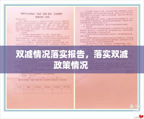 雙減情況落實報告，落實雙減政策情況 