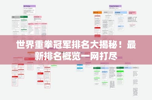 世界重拳冠軍排名大揭秘！最新排名概覽一網(wǎng)打盡