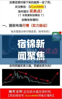 宿錦新聞聚焦時(shí)事熱點(diǎn)，解讀地方發(fā)展新動(dòng)態(tài)