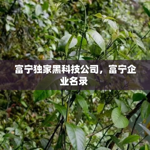 富寧獨家黑科技公司，富寧企業(yè)名錄 