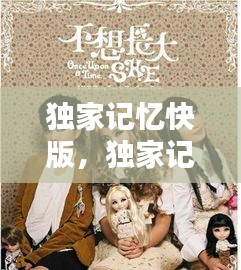 獨家記憶快版，獨家記憶記憶歌詞 
