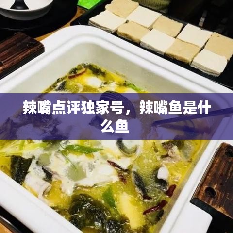 眉清目秀 第2頁