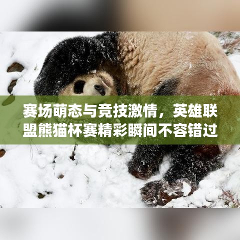 賽場萌態(tài)與競技激情，英雄聯(lián)盟熊貓杯賽精彩瞬間不容錯(cuò)過！
