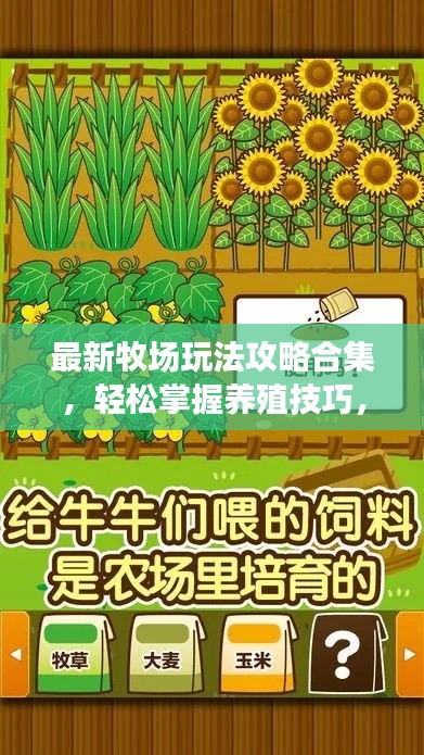 最新牧場(chǎng)玩法攻略合集，輕松掌握養(yǎng)殖技巧，成為牧場(chǎng)達(dá)人！