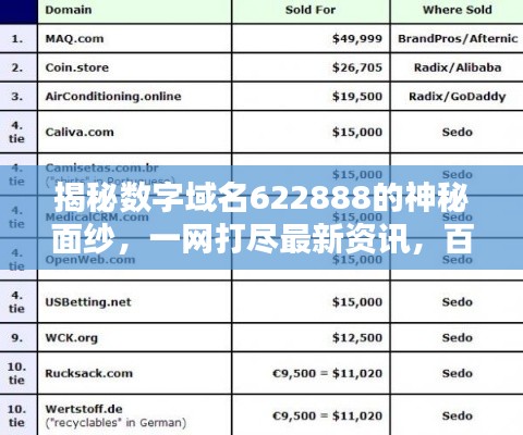 揭秘數(shù)字域名622888的神秘面紗，一網(wǎng)打盡最新資訊，百度直達！